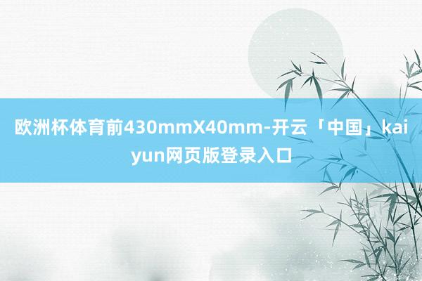 欧洲杯体育前430mmX40mm-开云「中国」kaiyun网页版登录入口