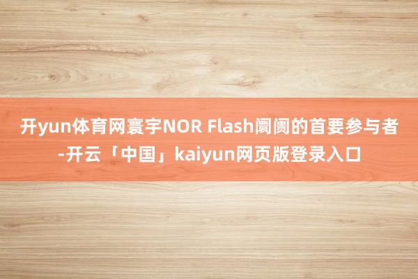 开yun体育网寰宇NOR Flash阛阓的首要参与者-开云「中国」kaiyun网页版登录入口