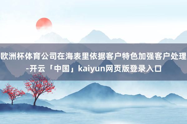 欧洲杯体育公司在海表里依据客户特色加强客户处理-开云「中国」kaiyun网页版登录入口