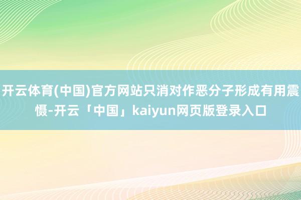 开云体育(中国)官方网站只消对作恶分子形成有用震慑-开云「中国」kaiyun网页版登录入口