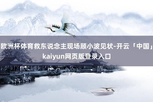 欧洲杯体育救东说念主现场顾小波见状-开云「中国」kaiyun网页版登录入口