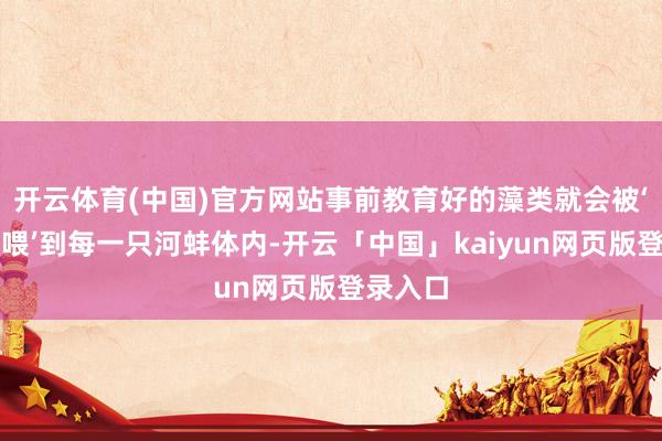 开云体育(中国)官方网站事前教育好的藻类就会被‘靶向投喂’到每一只河蚌体内-开云「中国」kaiyun网页版登录入口