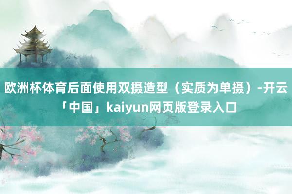 欧洲杯体育后面使用双摄造型（实质为单摄）-开云「中国」kaiyun网页版登录入口