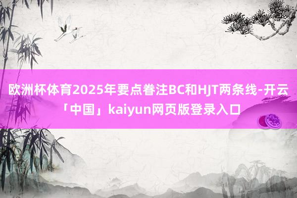 欧洲杯体育2025年要点眷注BC和HJT两条线-开云「中国」kaiyun网页版登录入口